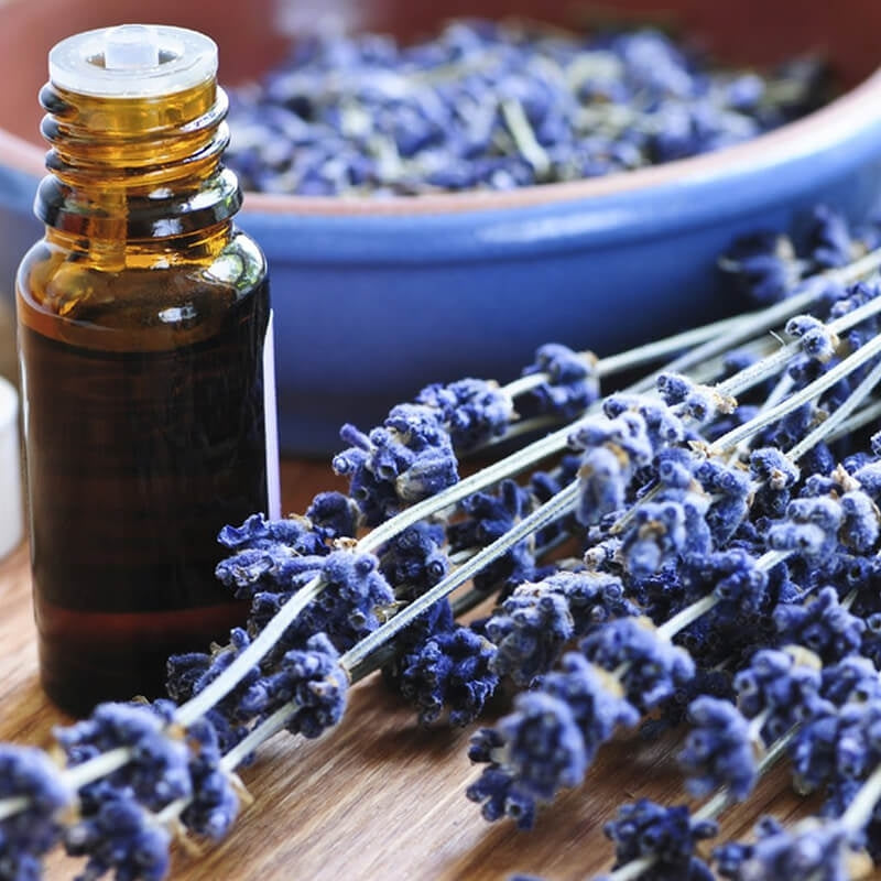 Fragrance Oil Essential Oil: the Scented