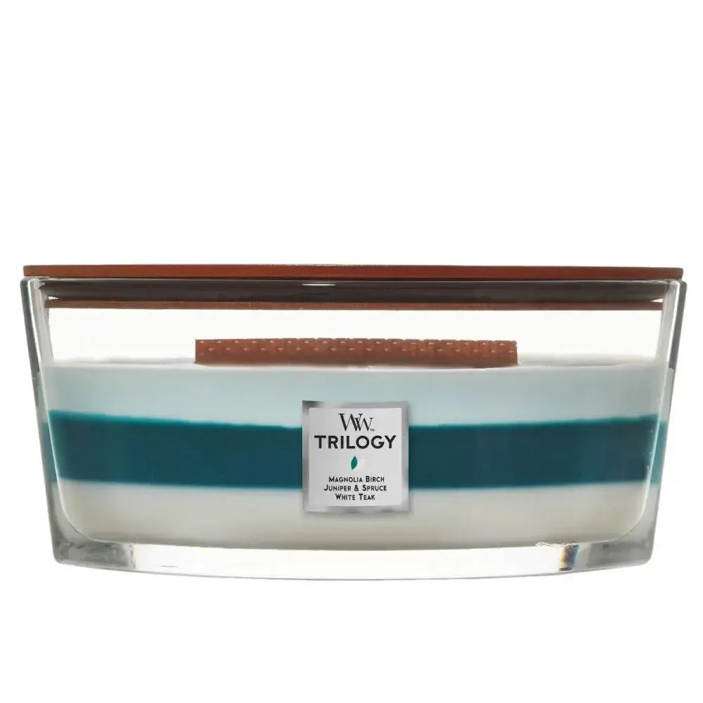 Ellipse Icy Woodland 453g Candle by Woodwick Candles-Candles2go