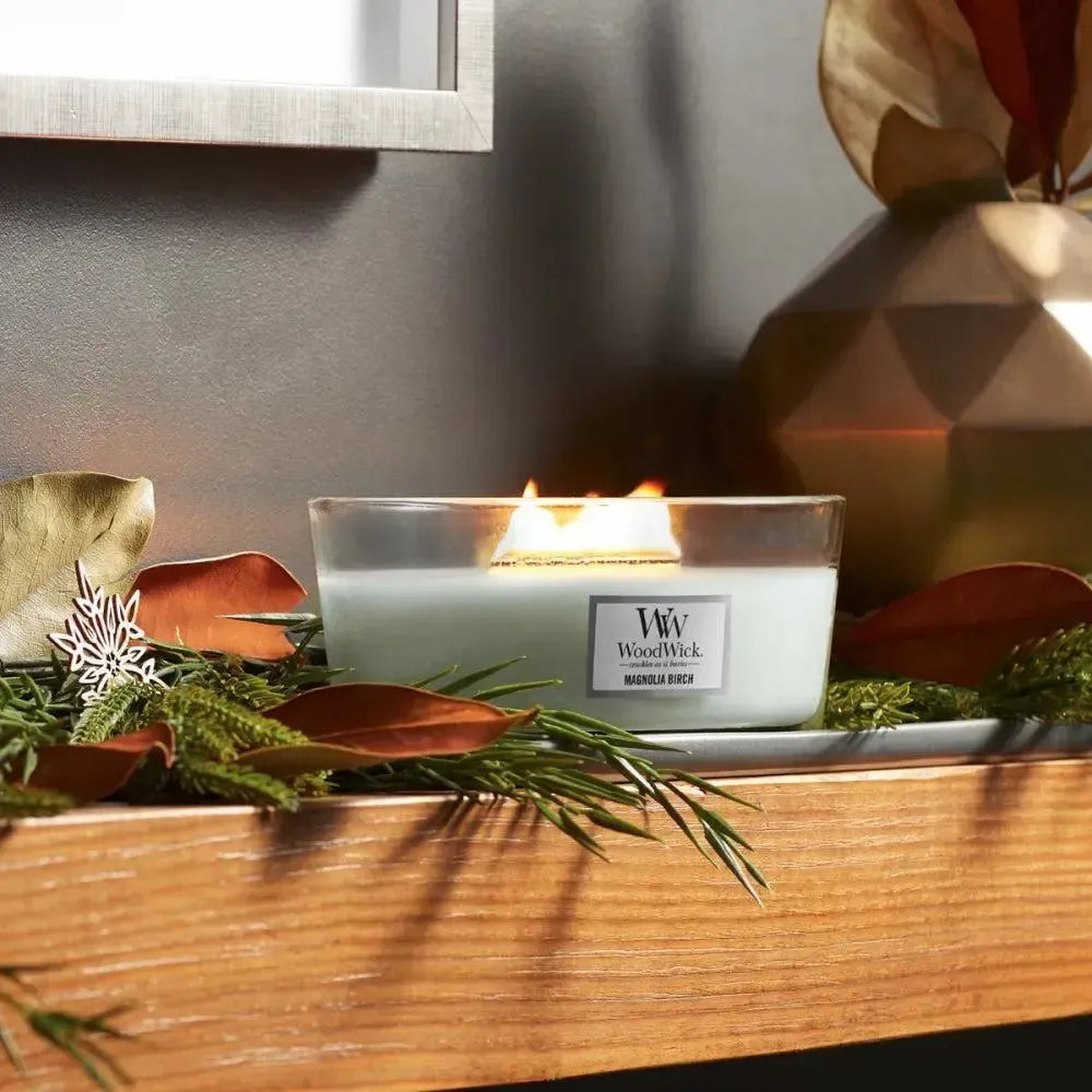 Ellipse Magnolia Birch 453g Candle by Woodwick Candles-Candles2go