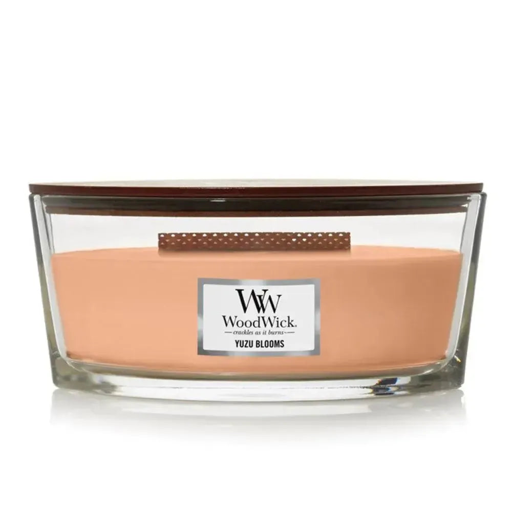 Ellipse Yuzu Blooms 453g Candle by Woodwick Candles-Candles2go