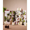 Christmas Limited Edition Circa 12 Days Advent Calendar 2025