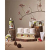 Christmas Limited Edition Circa Christmas Trio 70g Candles 2025