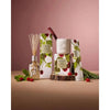 Christmas Limited Edition Circa Raspberry & Rhubarb Replacement Scent Stems 2025