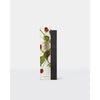 Christmas Limited Edition Circa Raspberry & Rhubarb Replacement Scent Stems 2025