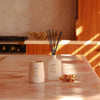 Christmas Limited Edition Moss St Spice Plum & Clove 300ml Diffuser 2025