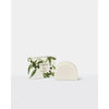Circa Liquidless Diffuser Arc Holder