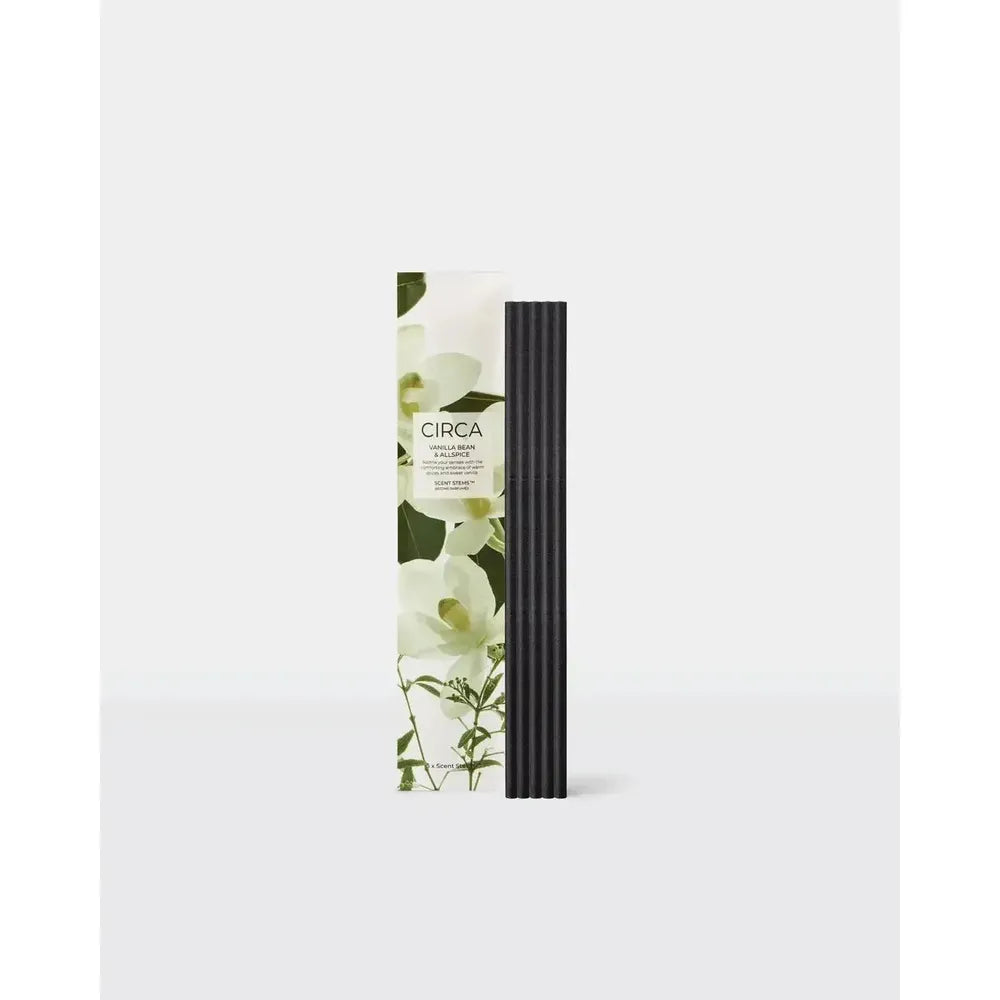 Circa Vanilla Bean & Allspice 5 Replacement Scent Stems-Candles2go