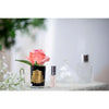 Cote Noire Perfumed White Peach Rose Bud with Black Glass GMRB45