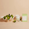 Jasmine & Lime Candle 420g by Palm Beach