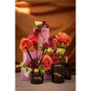 Midnight Rose 100ml Room Mist by Studio Sol