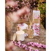 Mother's Day Limited Edition Cherry Blossom & Green Tea 250ml Diffuser by Circa 2026