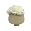 Planter Pot Ceramic in Beige Australian Native Collection By Bramble Bay Co