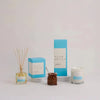 Salted Caramel & Vanilla Reed Diffuser 250ml by Palm Beach