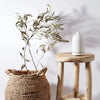 Stone Aromatherapy Diffuser by Palm Beach