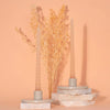 Vanilla Caramel Spiral Candles by Peppermint Grove