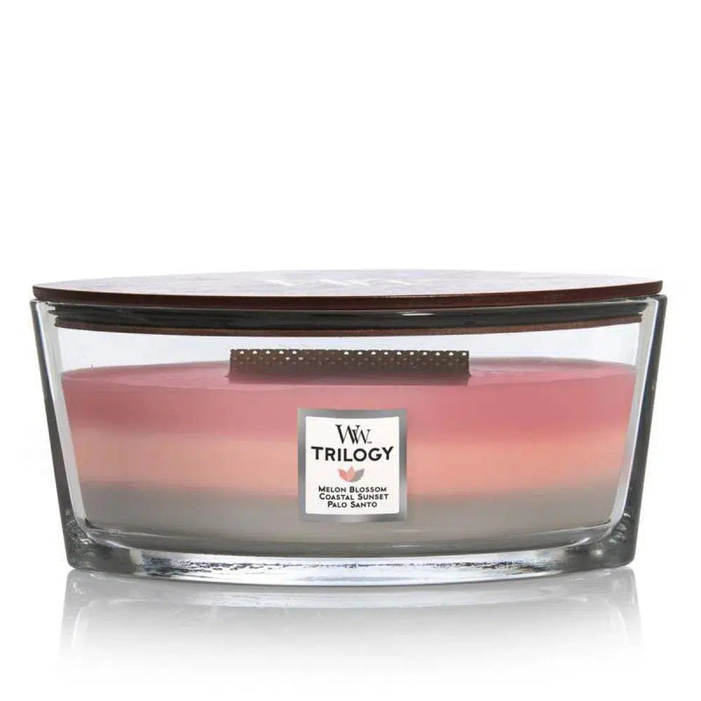 Woodwick Shoreline 453g Hearthwick Trilogy Candle-Candles2go