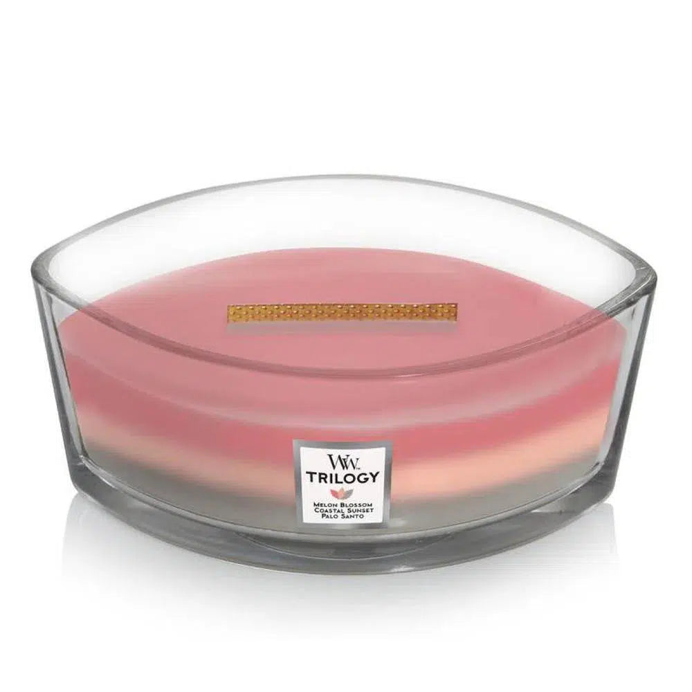 Woodwick Shoreline 453g Hearthwick Trilogy Candle-Candles2go