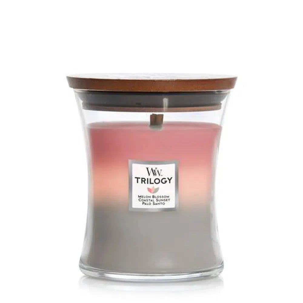 Woodwick Shoreline Medium 275g Trilogy Candle-Candles2go